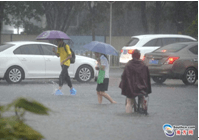 暴雨來(lái)襲 親們~請(qǐng)注意交通安全，別急！